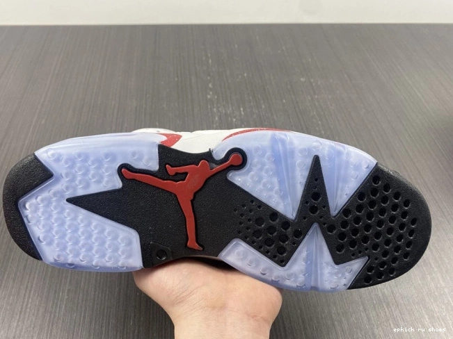 Rep 6 Retro CT8529-162 Jordan Hare 0723